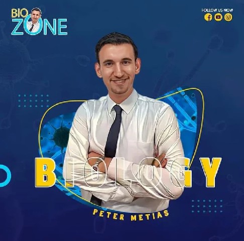 2025 - 3 - Lecture (15) - الواجب 2
